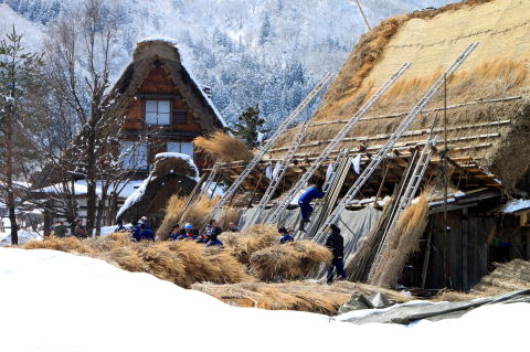 白白川郷 観光 おすすめ