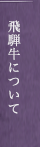 飛騨牛について