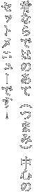 肴ならではのあて（つまみ）中心のセットメニューです